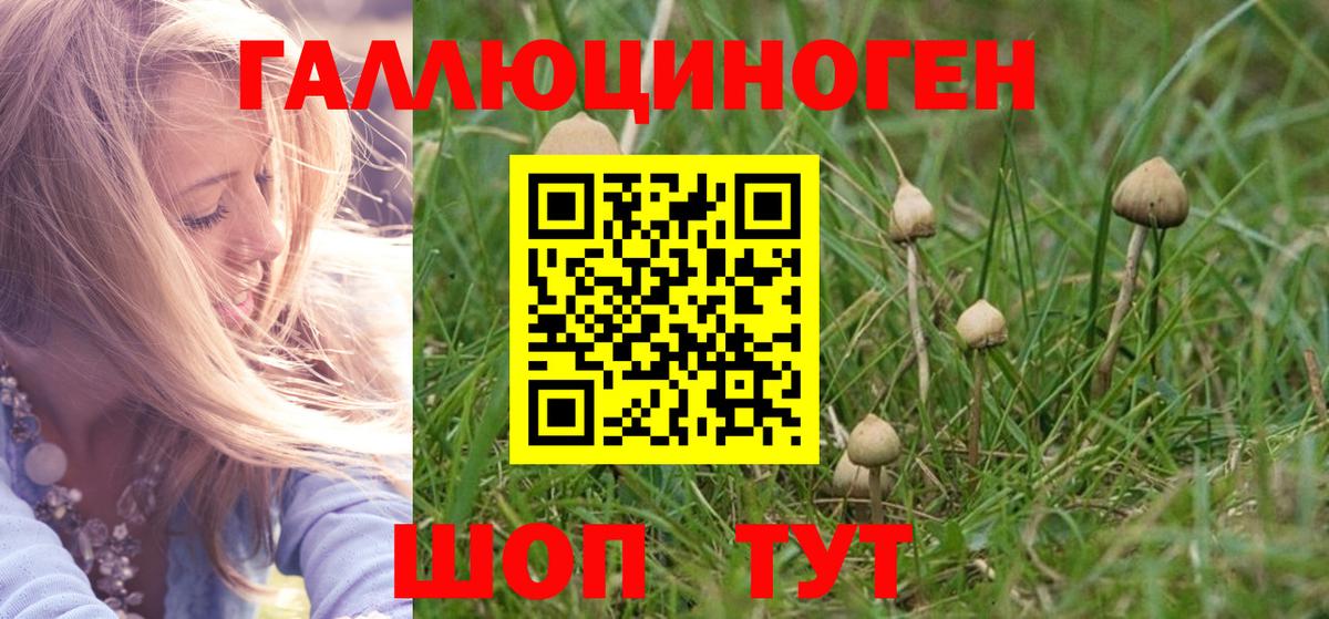 Псилоцибиновые грибы Psilocybe  Вход с VPN  Псилоцибиновые грибы MAGIC MUSHROOMS  Луга 